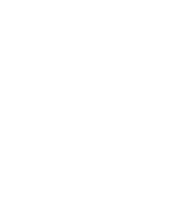 Intelligenza del business