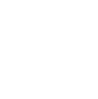 Intelligenza della leadership