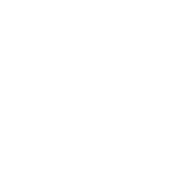 Intelligenza strategica